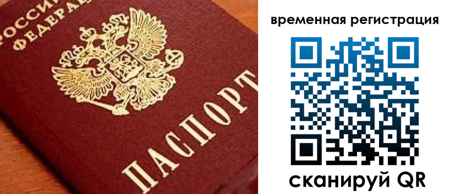 где прописаться в Кольчугино